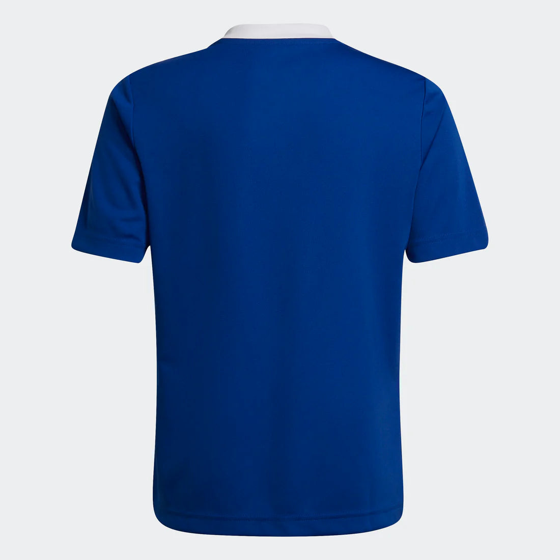 Adidas Entrada 22 Jersey Shirt