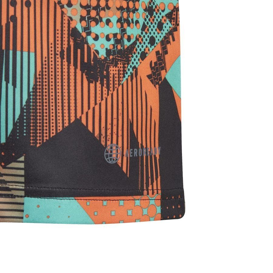 Adidas Messi Graphic Training Jersey