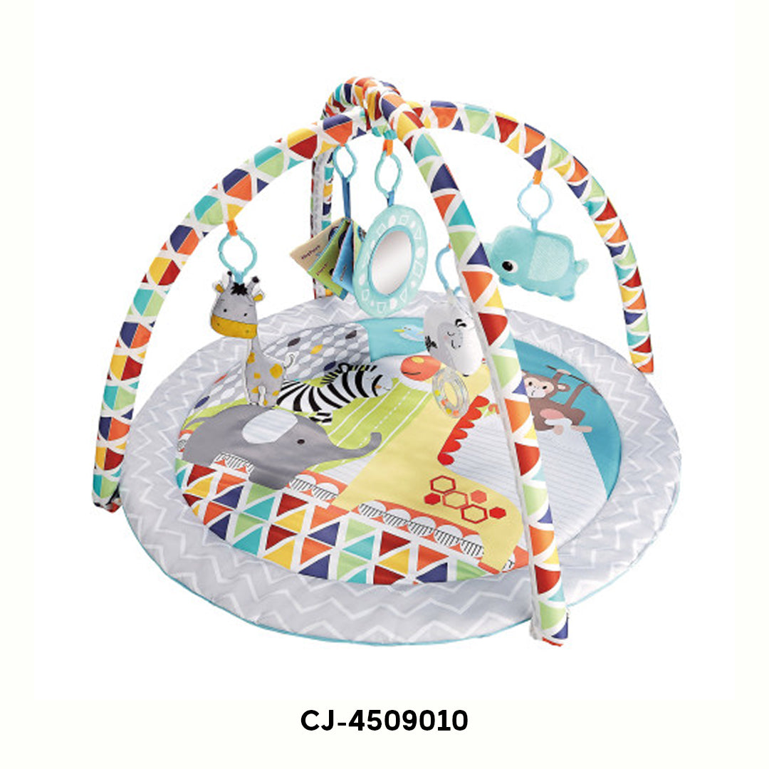 Chengji Classic Color Square Mat