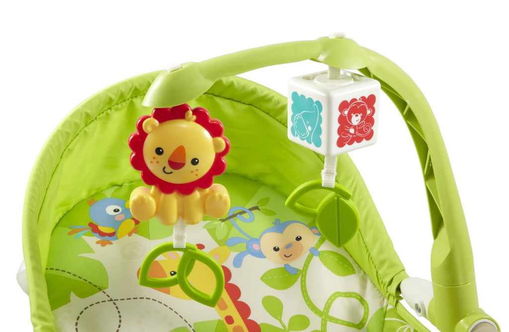 Fisher-Price Newborn-To-Toddler Rocker